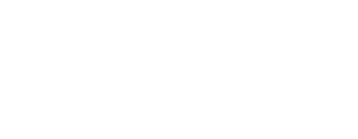 TrianglePacket
